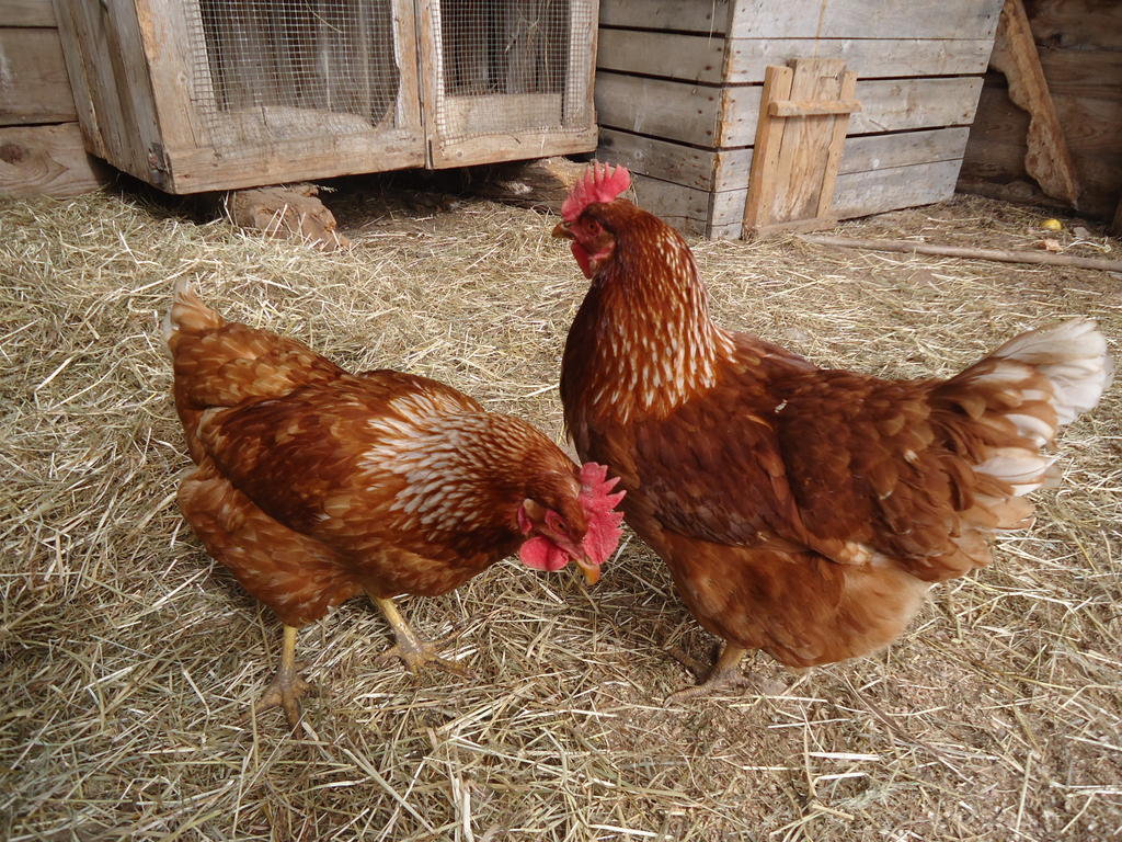 Kerschbamerhof Im Sueden Suedtirols コルタッチャ エクステリア 写真