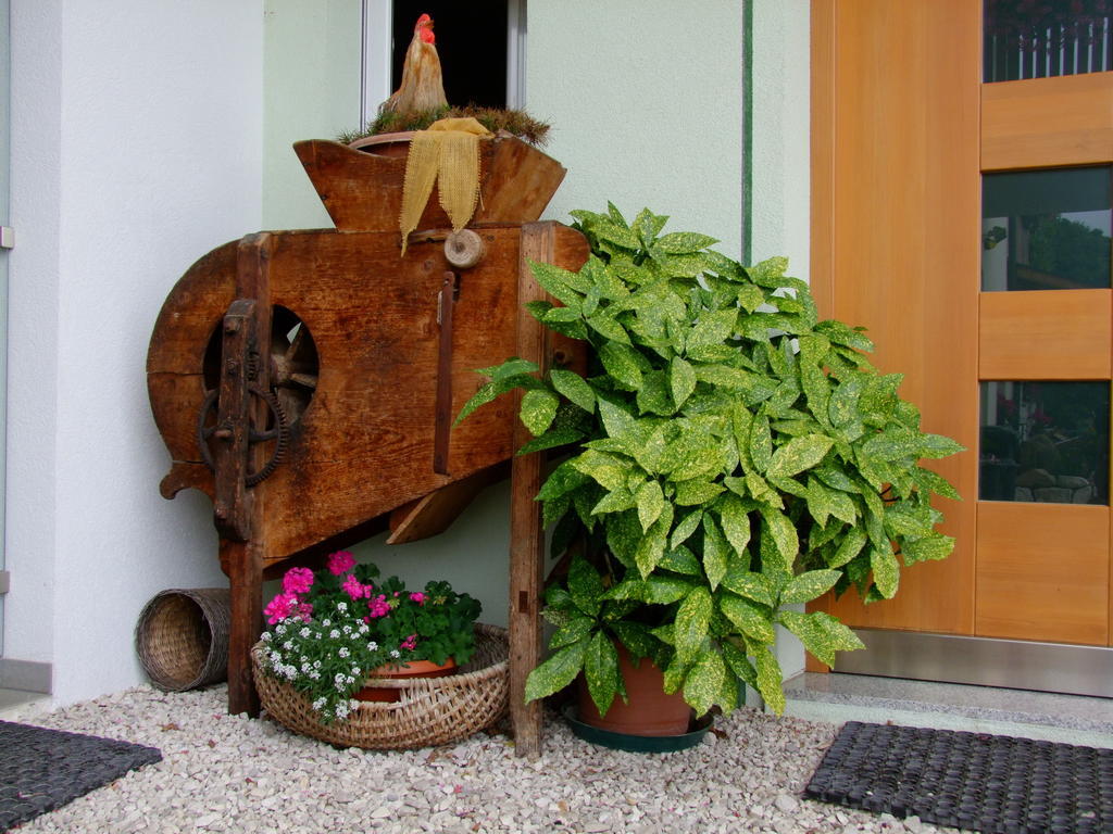 Kerschbamerhof Im Sueden Suedtirols コルタッチャ エクステリア 写真